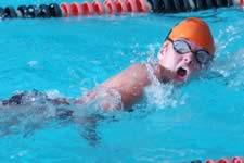 DSC_20192.jpg (154kb)