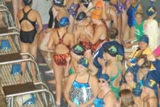 DSC_20271.jpg (173kb)