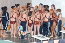 DSC_22214.jpg (178kb)