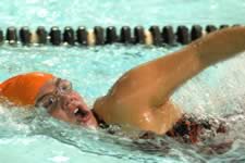 DSC_22365.jpg (163kb)