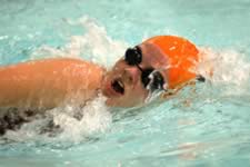 DSC_22369.jpg (141kb)