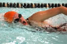 DSC_22374.jpg (169kb)