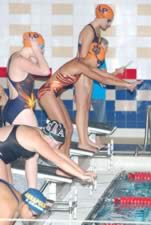 DSC_22462.jpg (87kb)