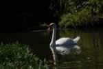 DSC_2350.jpg (64kb)