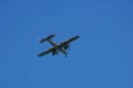 DSC_2365.jpg (17kb)