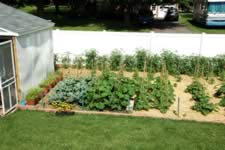 DSC_32454.jpg (240kb)