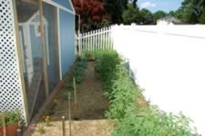 DSC_32466.jpg (193kb)