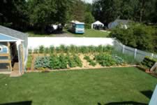 DSC_32469.jpg (234kb)