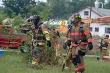 DSC_25028.jpg (83kb)