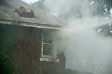 DSC_25048.jpg (40kb)