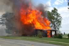 DSC_25133.jpg (59kb)