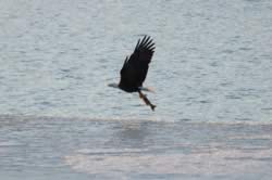 � 2007 Phil Hecksel (128kb)