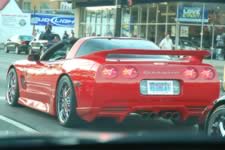 DSC_19779.jpg (164kb)