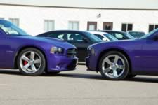 DSC_22033.jpg (161kb)