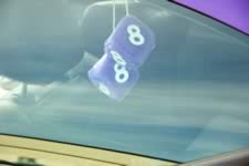 DSC_22037.jpg (59kb)