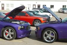 DSC_22095.jpg (154kb)