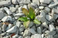 DSC_22101.jpg (153kb)