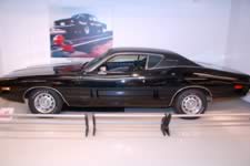 DSC_32556.jpg (165kb)