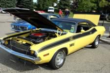 DSC_35339.jpg (234kb)