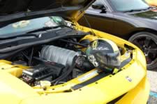 DSC_35348.jpg (165kb)