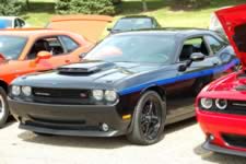 DSC_35350.jpg (183kb)