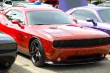 DSC_35351.jpg (173kb)