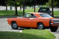 DSC_35355.jpg (145kb)