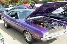 DSC_35372.jpg (236kb)