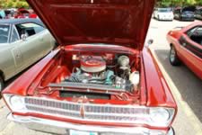 DSC_35375.jpg (221kb)