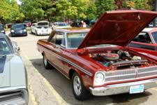 DSC_35377.jpg (249kb)