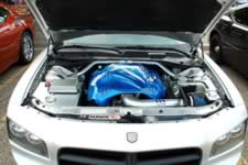 DSC_35395.jpg (163kb)