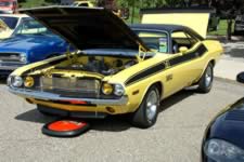 DSC_35416.jpg (226kb)