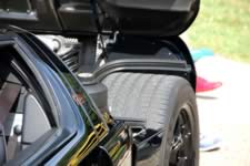 DSC_35418.jpg (137kb)