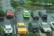 DSC_19190.jpg (144kb)