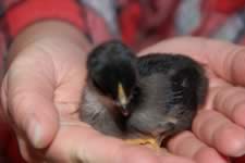 DSC_31850.jpg (89kb)