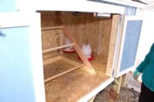 DSC_31950.jpg (140kb)