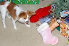 DSC_22806.jpg (92kb)