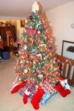 DSC_22814.jpg (104kb)