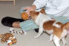 DSC_22819.jpg (78kb)