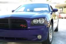 DSC_22859.jpg (68kb)