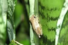 DSC_22866.jpg (73kb)