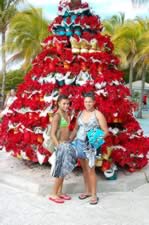 DSC_22874.jpg (140kb)