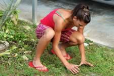 DSC_22895.jpg (121kb)