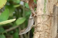 DSC_22899.jpg (82kb)