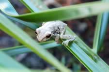 DSC_22901.jpg (64kb)