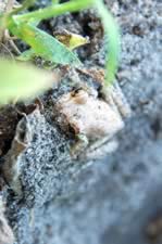 DSC_22903.jpg (94kb)