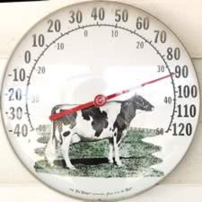 DSC_22906.jpg (118kb)