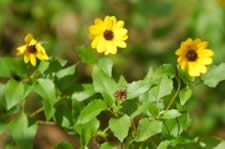 DSC_22915.jpg (69kb)