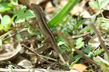 DSC_22948.jpg (104kb)