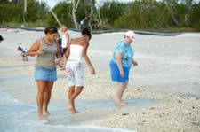 DSC_22967.jpg (99kb)